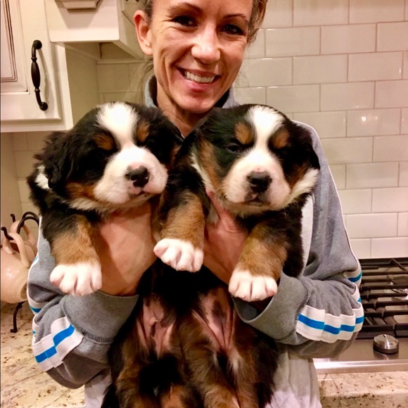 Meet your Posher, Laura Ann - Picture 8 of 13